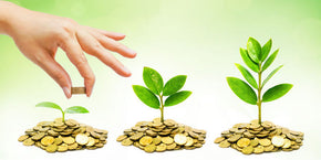 Venture Buddha - Startup Consulting Package